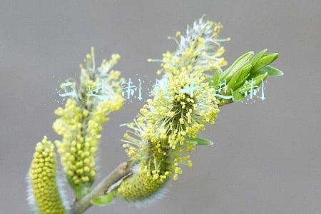 二进制转十进制例题(二进制\u0026十进制相互转换)