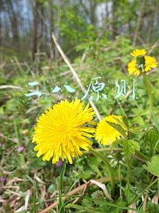 二八原则