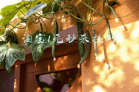 如何进入淘宝一元秒杀(淘宝秒杀促销活动怎么参加)