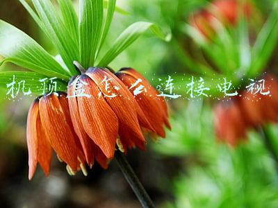 机顶盒怎么连接电视用什么频道(如何让宽带和IPTV电视盒子同时走一根网线而且还不影响宽带网速？)