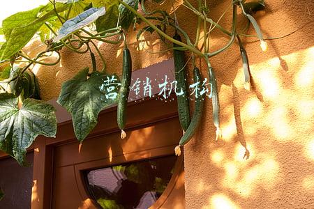 营销机构和营销队伍(一个“五脏六腑”俱全的B2B内容营销团队是怎样的？)