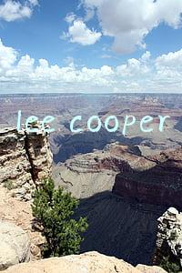 lee cooper
