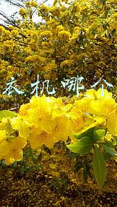 滚筒洗衣机哪个牌子好十大排名(滚筒洗衣机怎么选？洗烘一体是否有必要？洗衣机品牌排行榜)