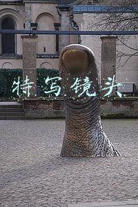 特写镜头