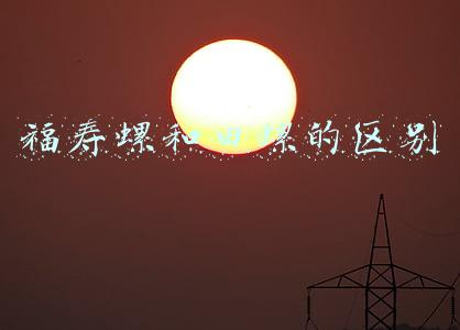 福寿螺和田螺的区别图片(田螺和福寿螺如何区分？小六教大家一个简单方法，农村人都知道)