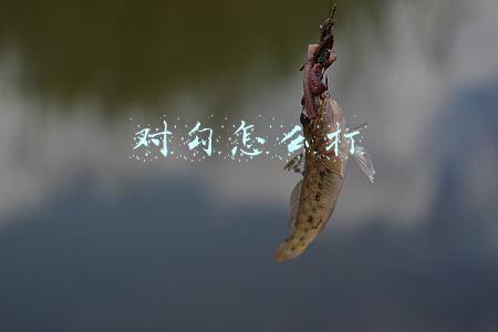 对勾怎么打进方框里面(文档如何把对勾打入方框里？)
