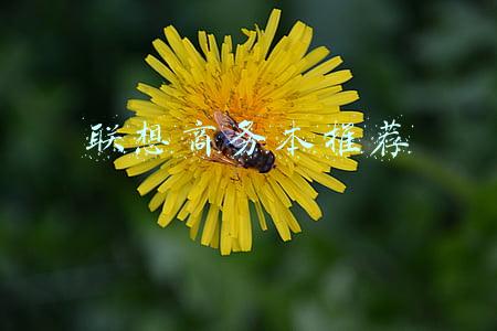 七千多联想商务本推荐(搞定这个，AMD才是真YES！联想启天A815商用一体机体验)