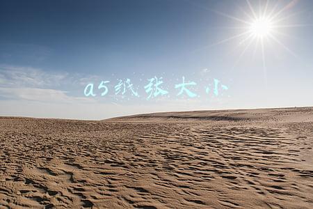 a5纸张大小尺寸(长知识！复印纸的尺寸及重量居然是这样定义的)