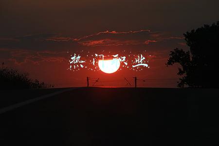 热门职业