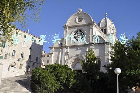 塞纳里奥作战角鹰兽