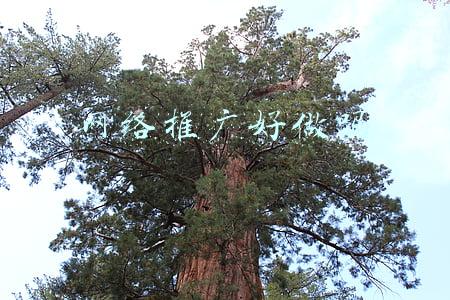 网络推广好做吗