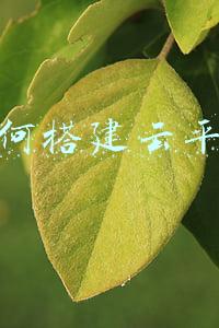 搭建云平台需要什么设备(5G多功能杆智慧管理云平台架构设计介绍)