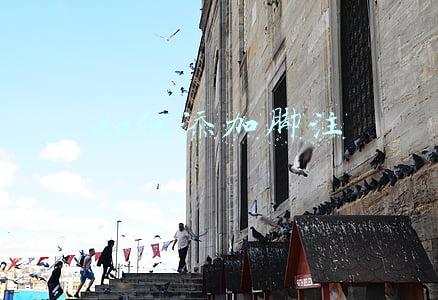 在word中如何添加脚注(怎样给word文档插入脚注)