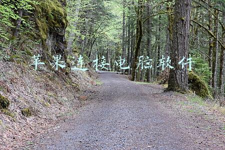 苹果连接电脑软件