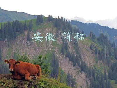 安徽 简称