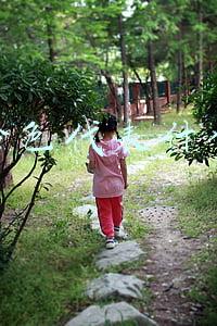 粉色代表什么意义和象征(玫瑰的颜色和意义，各种颜色的玫瑰代表什么？玫瑰花语全解读)