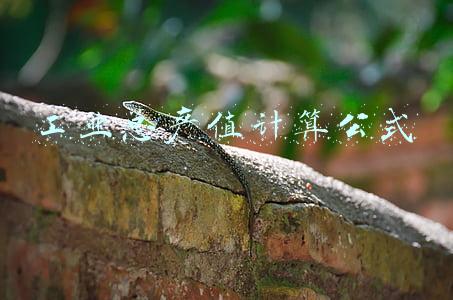 工业总产值计算公式