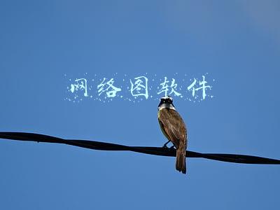 网络图软件
