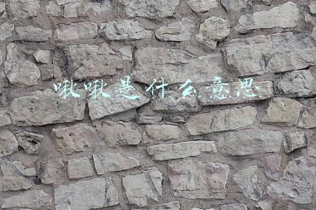 鸟儿啾啾是什么意思(期末复习：三年级下册1-8单元词语解释，可打印)