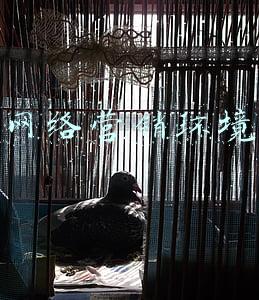 网络营销环境分析(广东深圳民营企业网络营销分析报告)