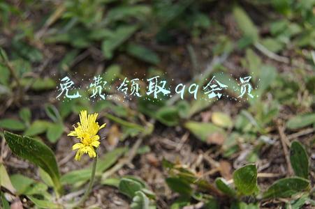 免费领取qq会员
