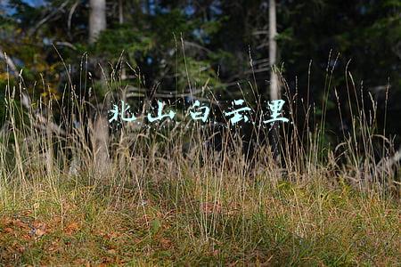 北山白云里