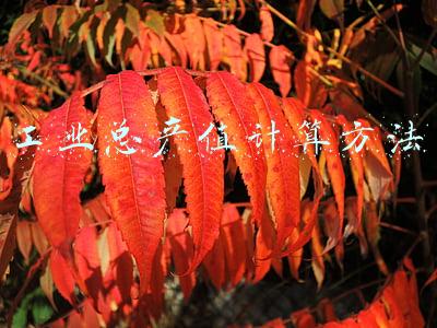 工业总产值计算方法