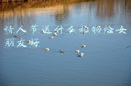 情人节送什么礼物给女朋友好