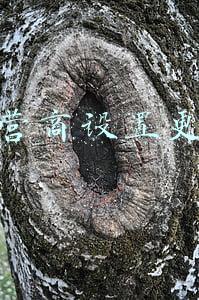 运营商设置更新