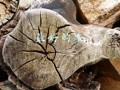 最好的车厘子品种(车厘子桑提娜和科迪亚哪个好吃)