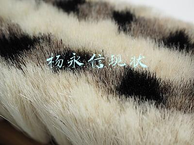 杨永信现状