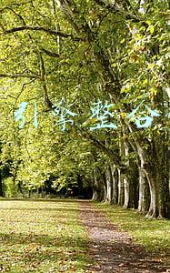 搜索引擎营销分析(企业必须知道的8个搜索引擎营销技巧)