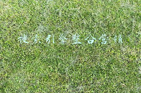 搜索引擎网络营销(关于网络营销的小知识：搜索引擎在网络营销中起到什么作用？)