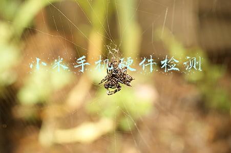 小米手机硬件检测模式怎么打开(小米12 Pro评测：配置拉满了但没了吸引力)