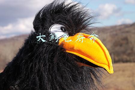 大鳄龟寿命
