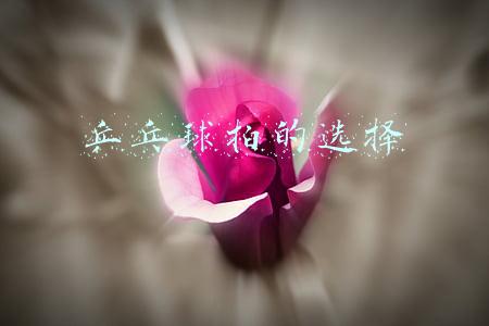 乒乓球拍的选择