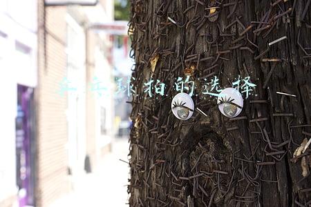 乒乓球拍的选择