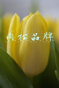 好的肉松品牌(风风火火评测了21款儿童肉松，居然全都是“假肉松”！)