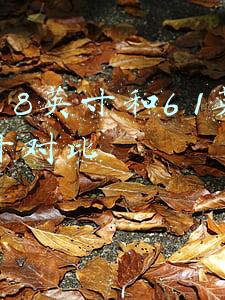 14英寸和15.6英寸对比(红米联想正面对决：同样标压轻薄本新品，谁的性价比更高)