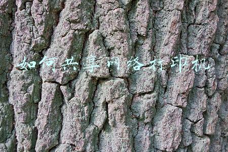 win10如何共享网络打印机(两台不一样的电脑，如何在Win10系统中共享打印机？看看如何操作)