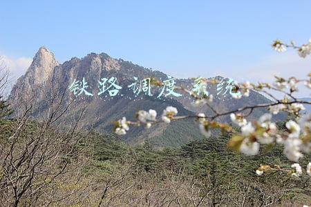 铁路调度系统