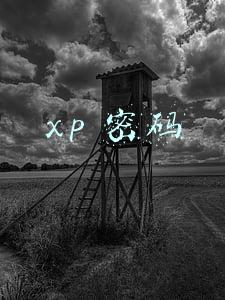 xp 密码