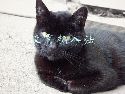 没有输入法怎么办(输入法不见了如何解决)