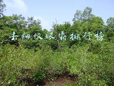 去细纹眼霜排行榜十软文(涂抹眼霜能祛除眼纹吗？十款热门眼霜真是测评反馈)