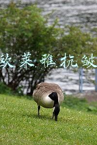 欧莱雅抗皱紧致系列适合多大年龄(欧莱雅适合什么年龄，欧莱雅复颜抗皱紧致滋润眼霜好用吗)