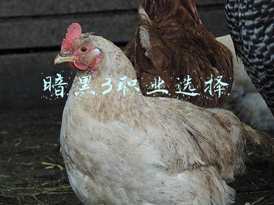 暗黑3各职业优缺点(暗黑2之7大职业实用性强度排名与评测，各大角色流派主要的用途)
