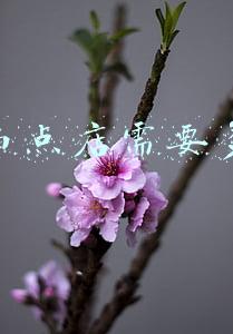 西点店(西点店装修效果图)