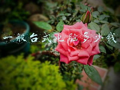 一般台式电脑多少钱