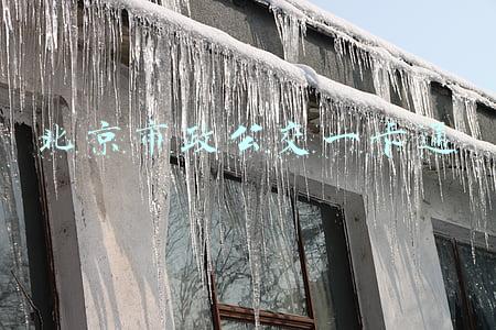 北京市政公交一卡通