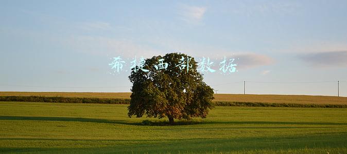 希捷西部数据东芝移动硬盘哪个好(希捷 西部数据 三星 日立 东芝)